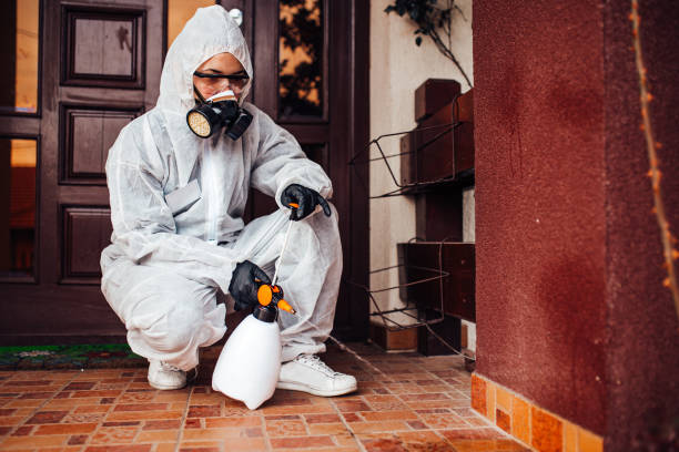 Reliable Bed Bug Control contractor in Augusta, KY by Nex Pest Control